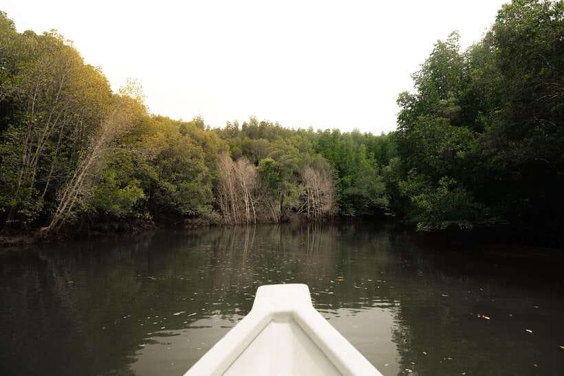Langkawi Royal Mangrove Tour with Snorkeling Package - Bat Cave and Crocodile Cave
