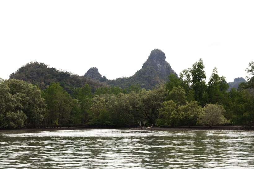 Langkawi Royal Mangrove Tour with Snorkeling Package - The guide makes the difference