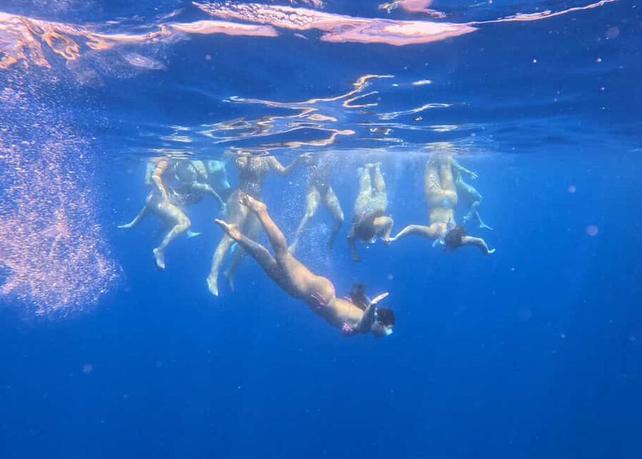 Larnaca Bay Cruise with Snorkeling - Snorkeling above the Zenobia shipwreck