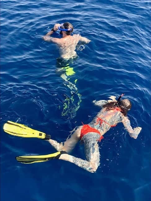 Larnaca: Snorkelling Zenobia Wreck Plus Mini Cruise - Who should book this Zenobia trip?