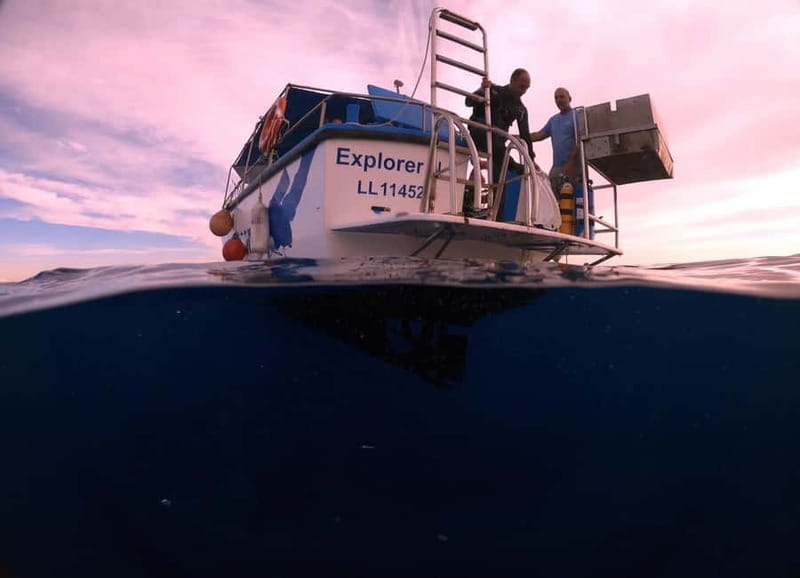 Larnaca: Snorkelling Zenobia Wreck Plus Mini Cruise - Meeting at Larnaca Fishing Port