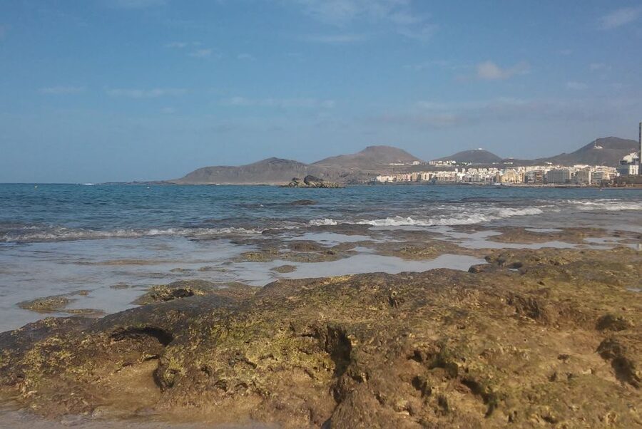 Las Palmas: Las Canteras Beach Snorkeling Trip - What makes Las Canteras snorkeling special