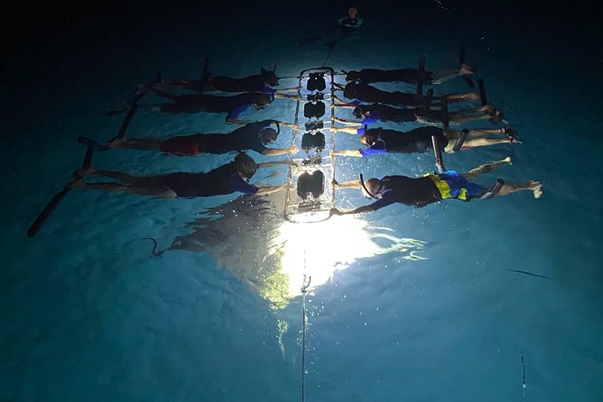 Late Night Manta Snorkel - Why Kona’s night manta snorkel is so special