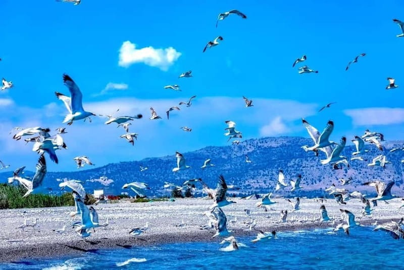 Lindos: Glass Bottom Boat Tour with Snorkeling - Space, comfort, and the best place to sit