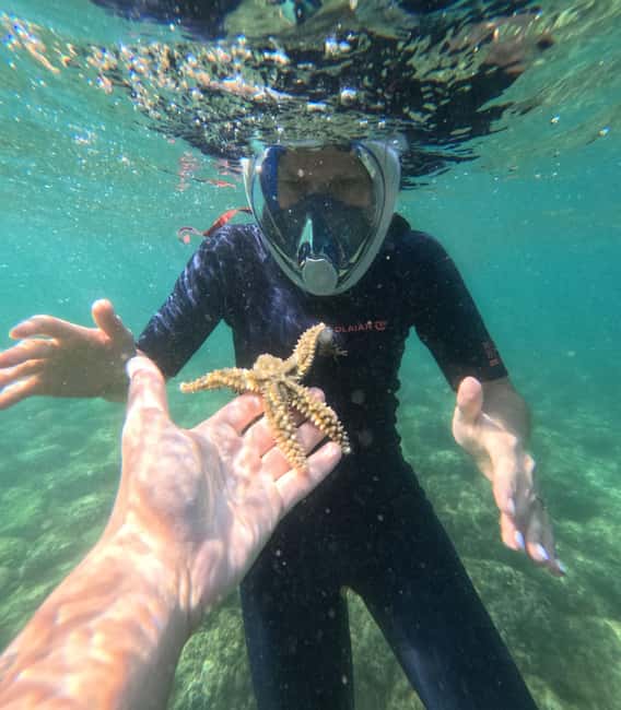 Lisbon: Arrábida Kayak & Wild Beach Snorkeling Pickup Option - The beach hut finish