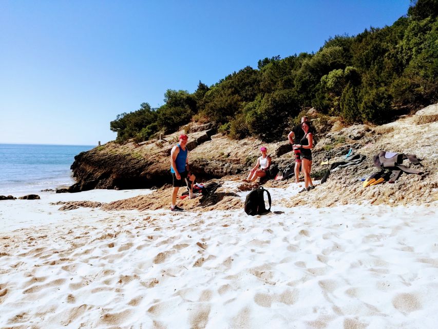 Lisbon: Arrábida Snorkeling Adventure - From Lisbon Zoo to Arrábida’s coast