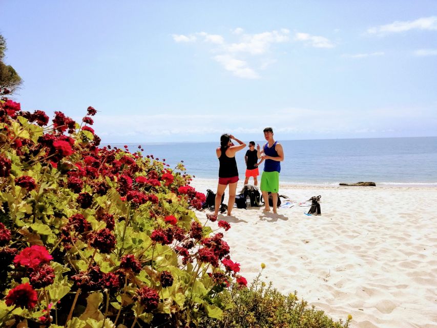 Lisbon: Arrábida Snorkeling Adventure - What the $94 price buys you