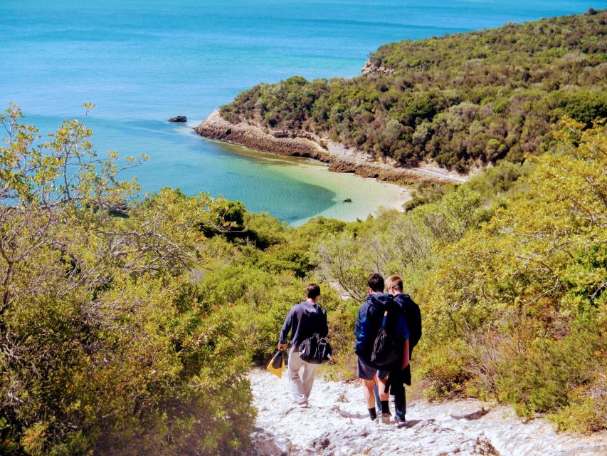 Lisbon: Arrábida Snorkeling Adventure - Arrábida’s cliffs and Atlantic views