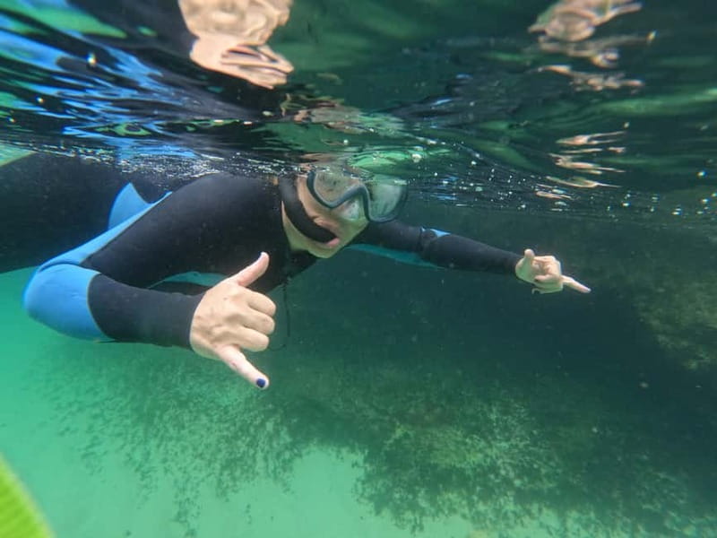 Lisbon: Snorkeling experience in Marine Reserve with photos - FAQ