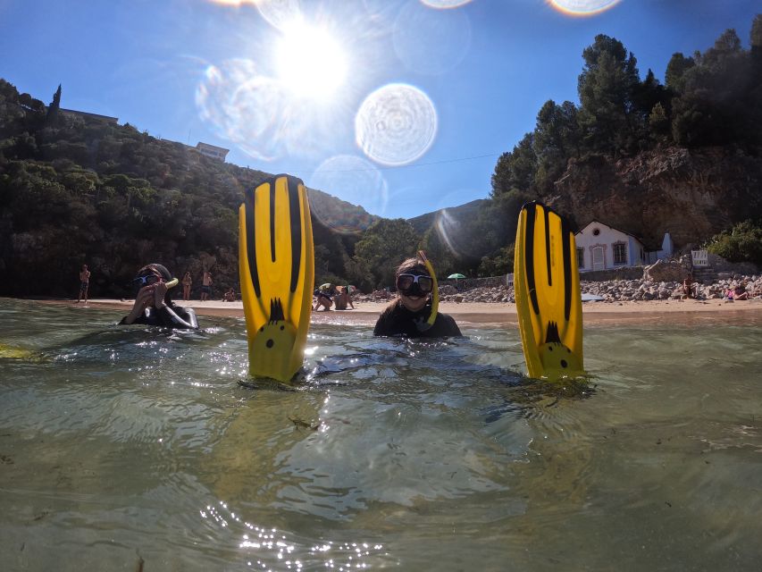 Lisbon: Snorkeling experience in Marine Reserve with photos - Finding the center and preparing for the morning