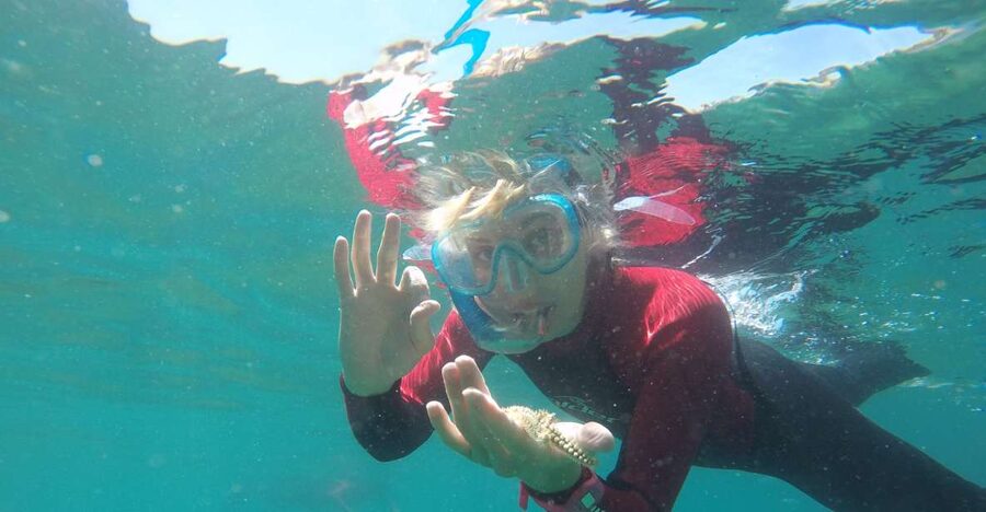 Lisbon: Snorkelling in Sesimbra/Arrábida Natural Park - Why Arrábida’s marine park is the star