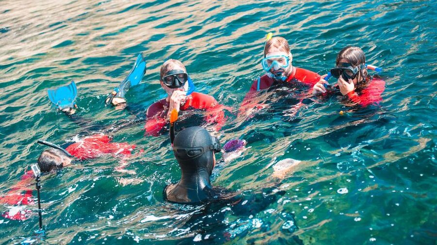 Lisbon: Snorkelling in Sesimbra/Arrábida Natural Park - What the price includes, and what it does not