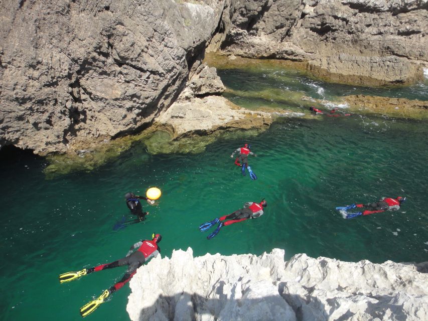 Lisbon: Snorkelling in Sesimbra/Arrábida Natural Park - Practical preparation for the day