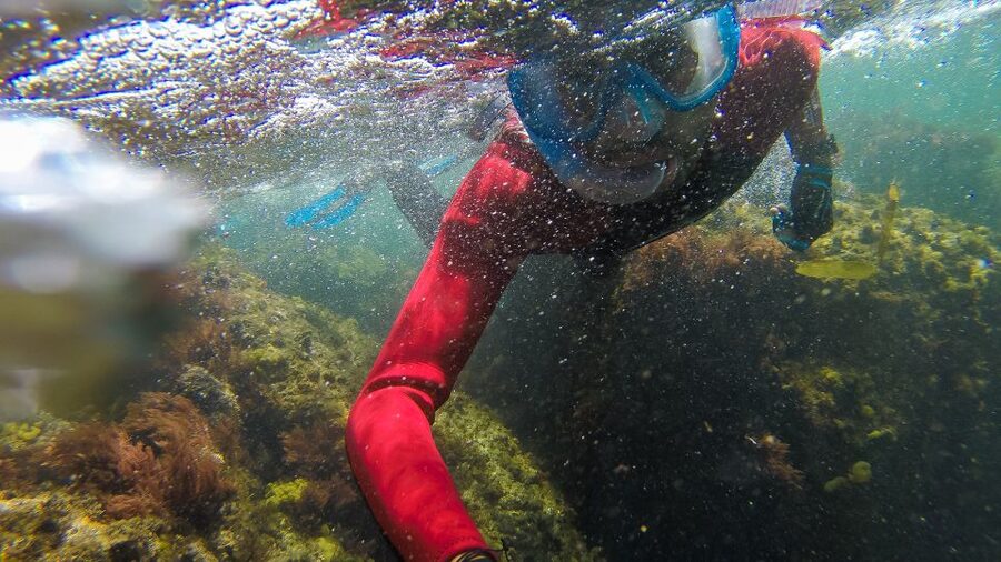 Lisbon: Snorkelling in Sesimbra/Arrábida Natural Park - Who will enjoy this most