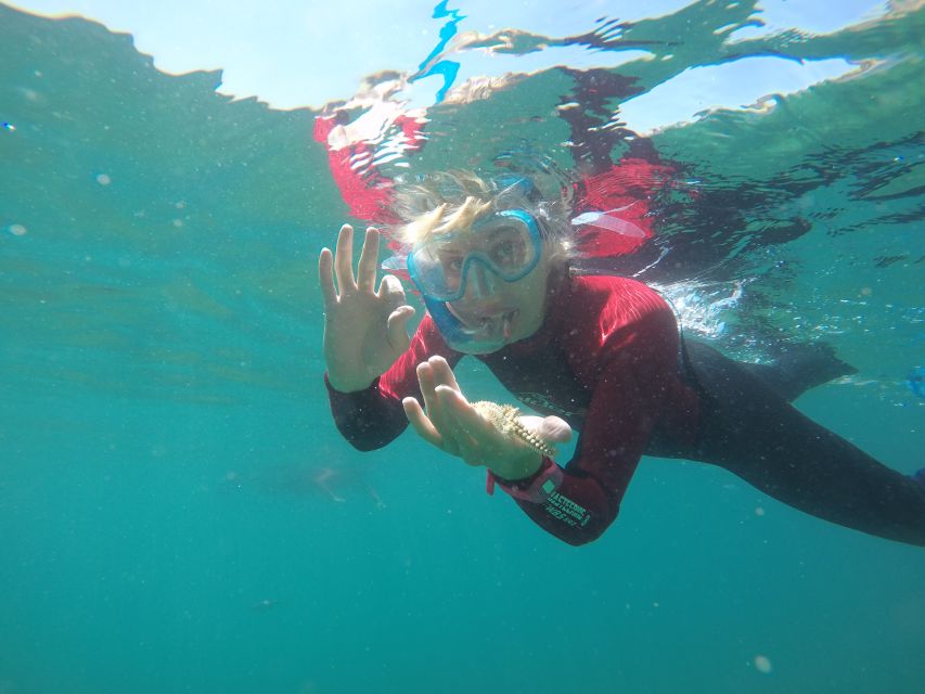 Lisbon: Snorkelling in Sesimbra/Arrábida Natural Park - What happens during the three-hour outing