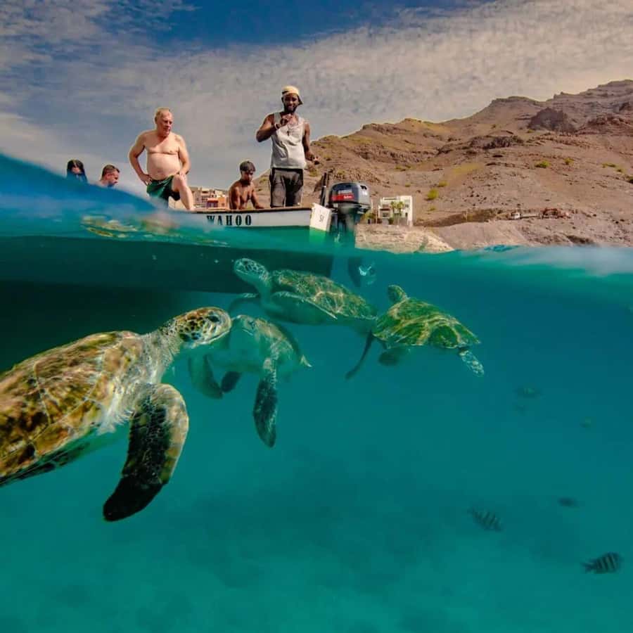 Live Snorkeling & Swimming with Sea Turtles in the Atlantic - From Mindelo to São Pedro Beach