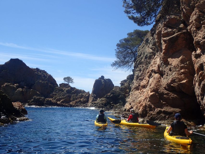 Lloret de Mar: 3-Hour Kayak and Snorkel Tour on Costa Brava - Paddling through rocks and pine trees