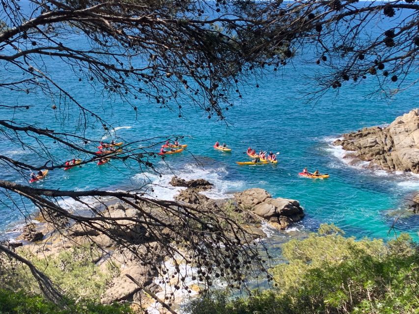 Lloret de Mar: 3-Hour Kayak and Snorkel Tour on Costa Brava - Snorkeling in the clear Costa Brava water