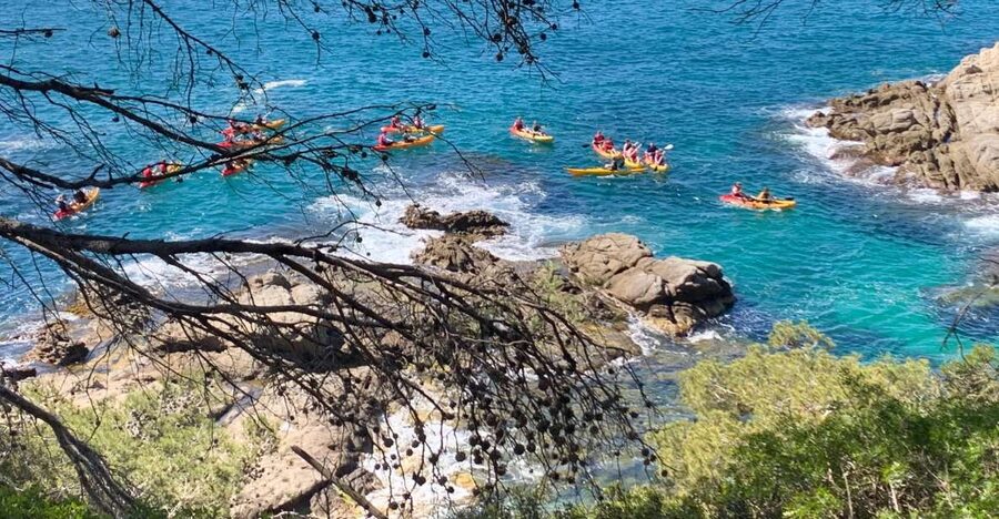 Lloret de Mar: 3-Hour Kayak and Snorkel Tour on Costa Brava - What the guide adds to the experience