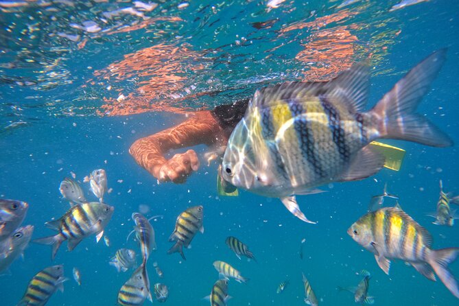 Local Excursion | Paradise Island Punto Rucia & snorkeling - The bus ride to Punta Rucia