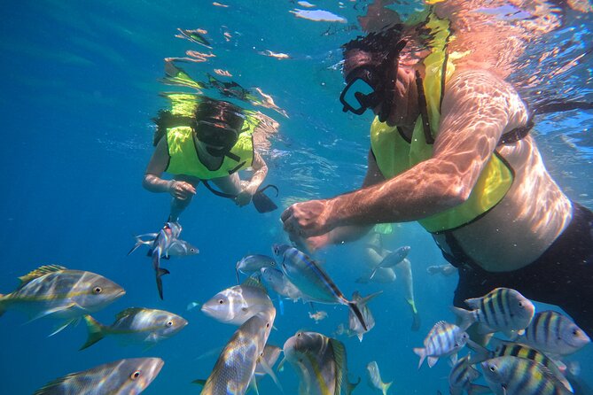 Local Excursion | Paradise Island Punto Rucia & snorkeling - Fruit, drinks, and the Dominican buffet