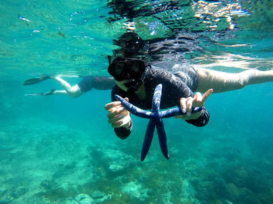 Lombok: Gili Nanggu, Sudak and Kedis Private Snorkeling Tour - Gili Kedis is the small, quiet finale