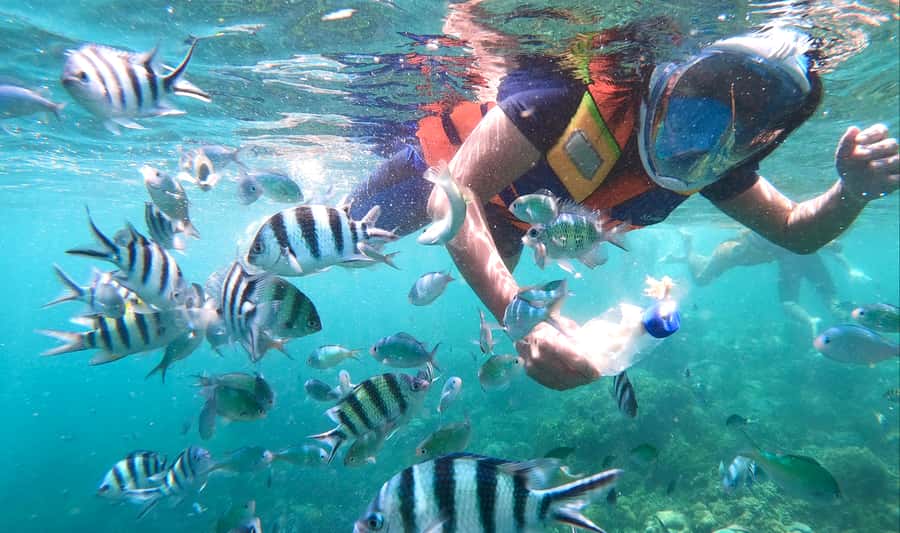 Lombok: Gili Nanggu, Sudak, & Gili Kedis Private Snorkeling - What this Lombok snorkeling day is really like