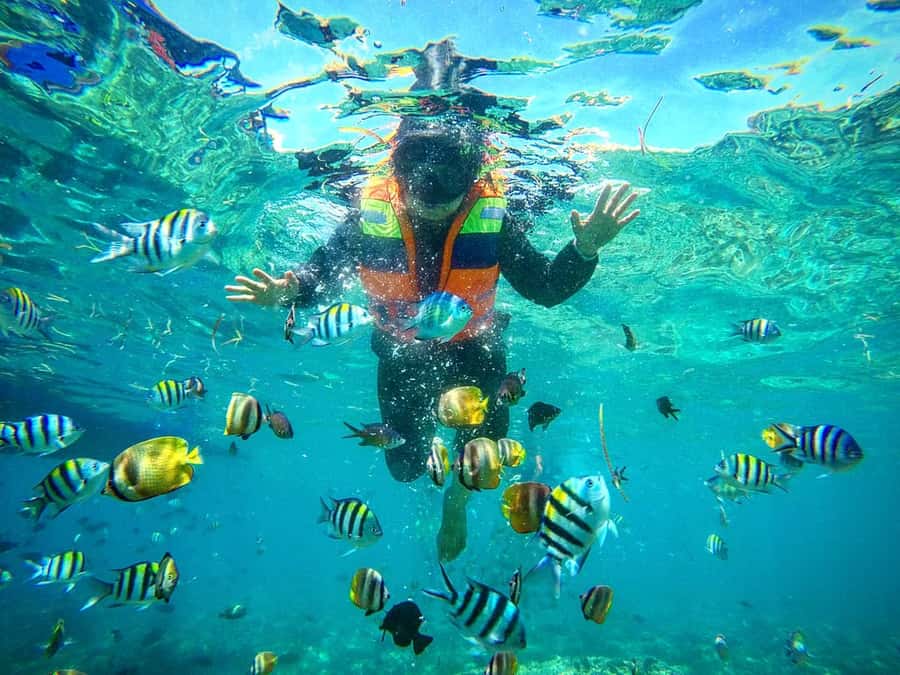 Lombok: Gili Nanggu, Sudak, & Gili Kedis Private Snorkeling - Gili Nanggu: the main underwater attraction