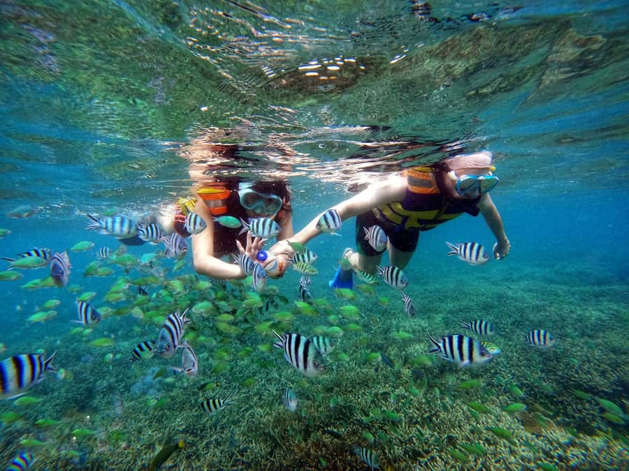 Lombok: Gili Nanggu, Sudak, & Gili Kedis Private Snorkeling - Gili Sudak: lunch beside the water