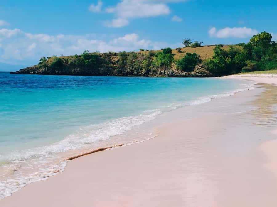 Lombok: Pink Beach, Snorkeling, & Tanjung Ringgit Tour - What the $157 price really covers