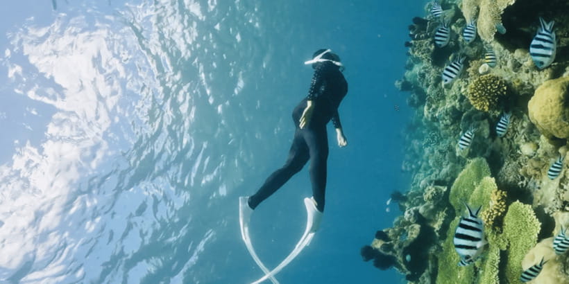 Lombok:Privat Snorkeling Gili Nanggu,Gili Sudak,Gili Kedis. - Key points at a glance