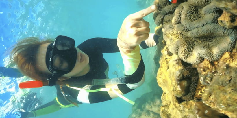 Lombok:Privat Snorkeling Gili Nanggu,Gili Sudak,Gili Kedis. - Should you book the Gili Nanggu, Sudak, and Kedis tour?