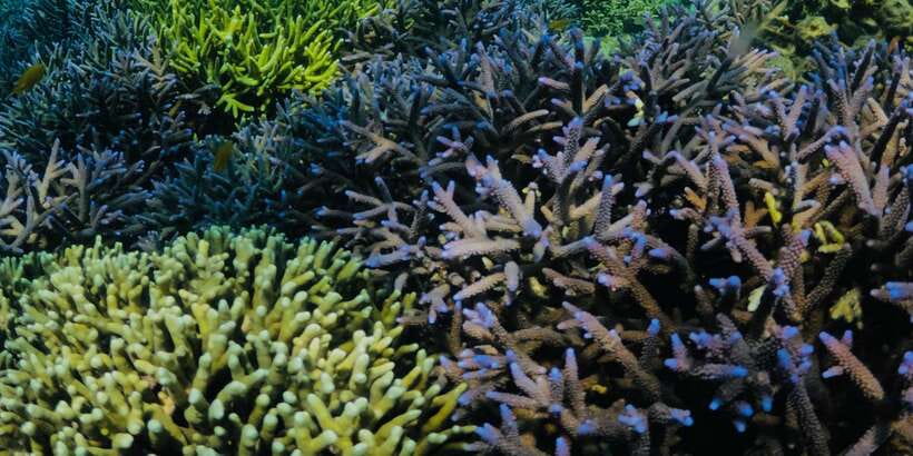 Lombok:Privat Snorkeling Gili Nanggu,Gili Sudak,Gili Kedis. - The drive to Sekotong is part of the experience