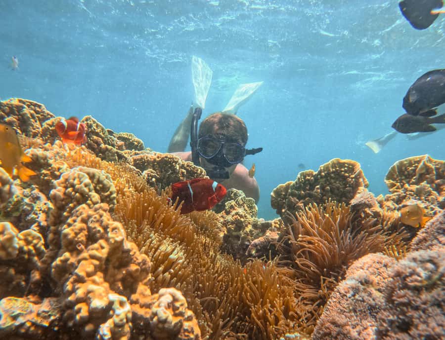 Lombok: Private Pink Beach & Gili Snorkeling Tour with GoPro - Why this private Lombok boat trip is worth considering
