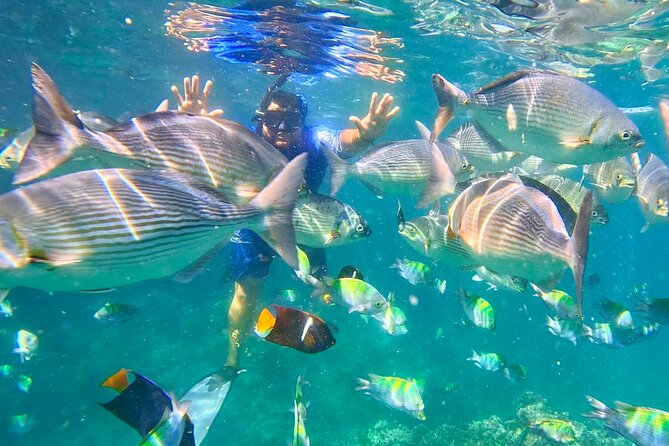 Los Arcos 5 islands Snorkeling Cliff Jumping and Hidden Beach - From Zona Romántica to Mismaloya Beach