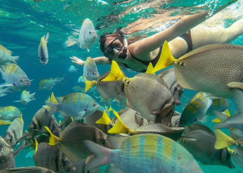 Los Cabos Arch & Lover’s Beach Tour + Snorkeling Tour - Should you book the Arch and snorkeling tour?