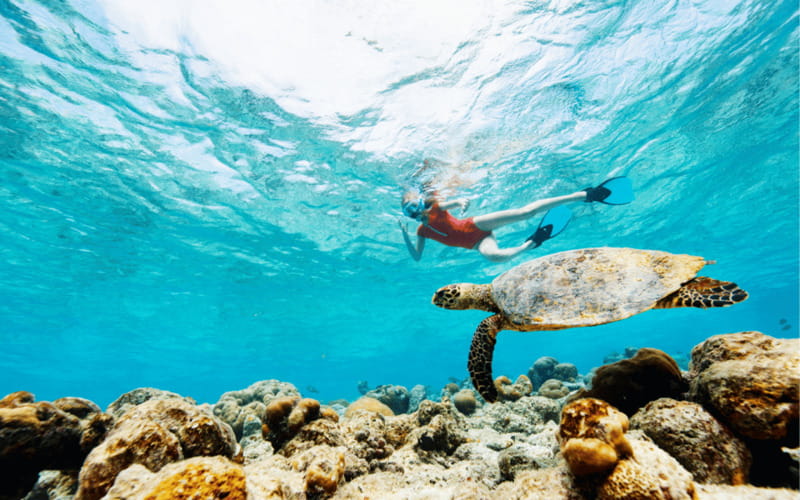 los cabos arch tour & drinks +snorkel tour - El Arco and the classic photograph