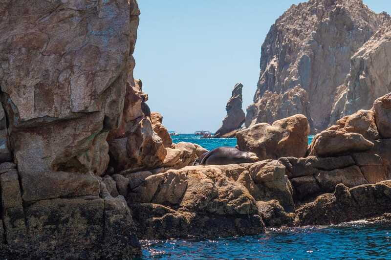 los cabos arch tour & drinks +snorkel tour - Optional beach time at the end
