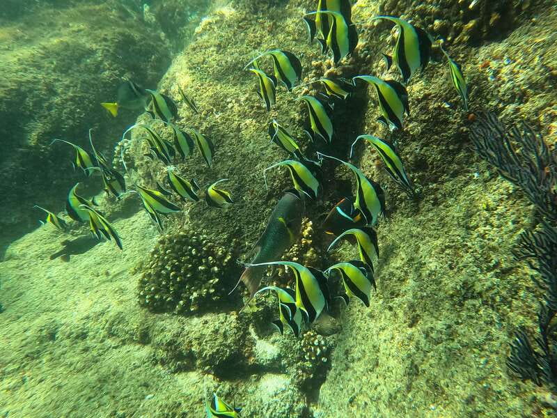 Los Cabos: Kayak to The Arch & Snorkel + Transport & Photos - The Arch: 40 minutes of paddling and sightseeing