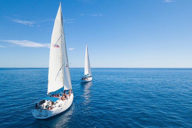 Los Cabos Luxury Sailing, Snorkel and Lunch Cruise - What the $149 price really covers