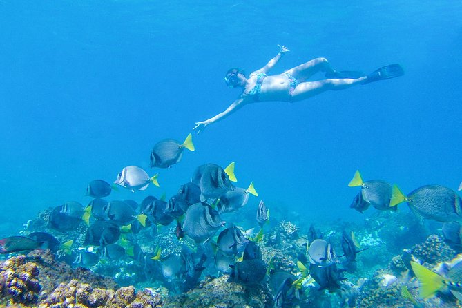 Los Cabos Power snorkel Adventure, Kayaking and Stand-Up Paddle - Is $99 a good value?