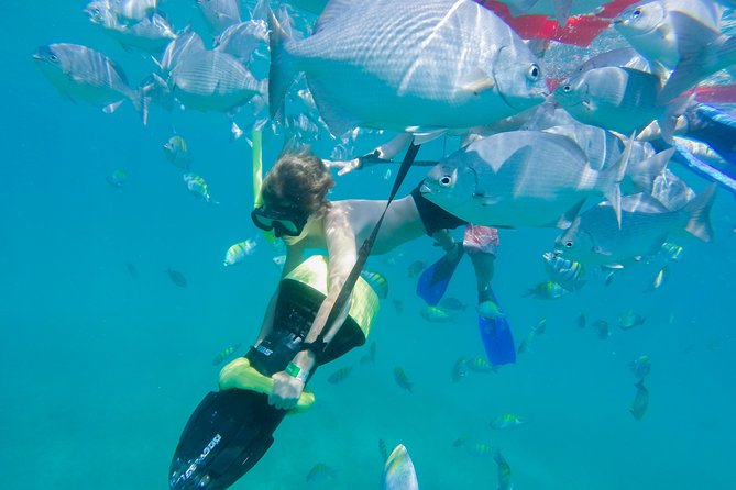 Los Cabos Power snorkel Adventure, Kayaking and Stand-Up Paddle - Who will enjoy this outing most?