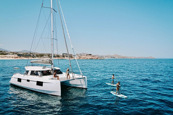 Los Cabos Seasonal Whale Watch and Snorkel Tour - Key points at a glance