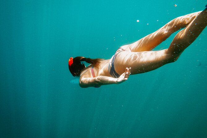 Los Cabos Seasonal Whale Watch and Snorkel Tour - Why the whale and snorkel combination works