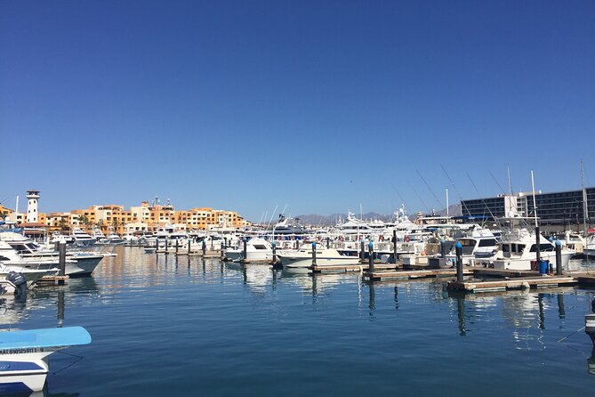Los Cabos Snorkel & Pirate Ship Fun Adventure with Lunch - What the crew does well, and where service can vary