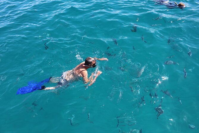 Los Cabos Snorkel & Pirate Ship Fun Adventure with Lunch - Who will enjoy this pirate ship adventure most?