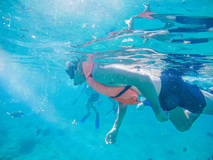 Los Cabos: Snorkeling Cruise with Lunch - What kind of Cabo boat trip is this?