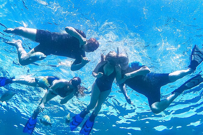 Los Cabos Snorkeling Tour by Speed Boat with Photos Included - Timing, weather, and cancellation details