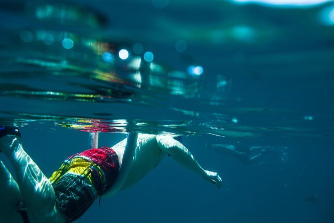 Los Cabos Snorkeling Tour to Chileno Bay and Santa Maria Cove - What the guides add to the day