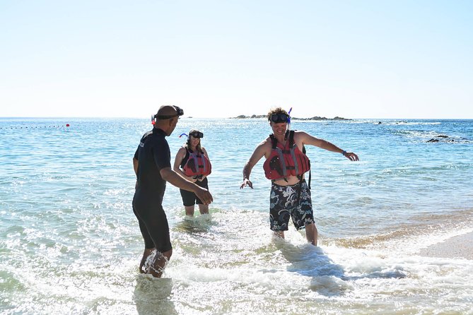 Los Cabos Snorkeling Tour to Chileno Bay and Santa Maria Cove - Transport from Cabo, San José, and the corridor